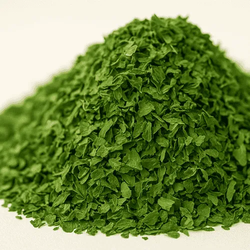 کنترل قند و فشار خون با مصرف سبزی گشنیز