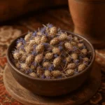 گل گندم ظاهری زیبا و دمنوشی آرامشبخش، تقویت بینایی و بهبود گوارش