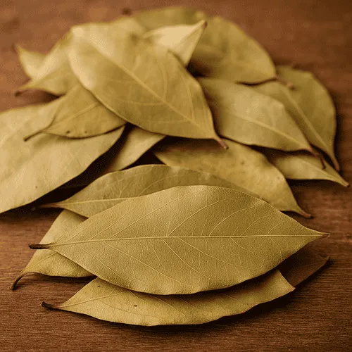 سازج هندی برای تقویت معده و بهبود گوارش و درمان سرفه