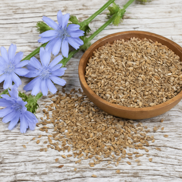 تخم کاسنی فروش